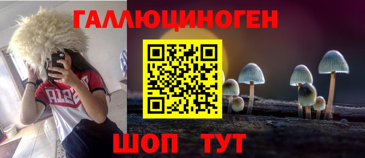Псилоцибиновые грибы Cubensis  Вход с VPN  Торжок 