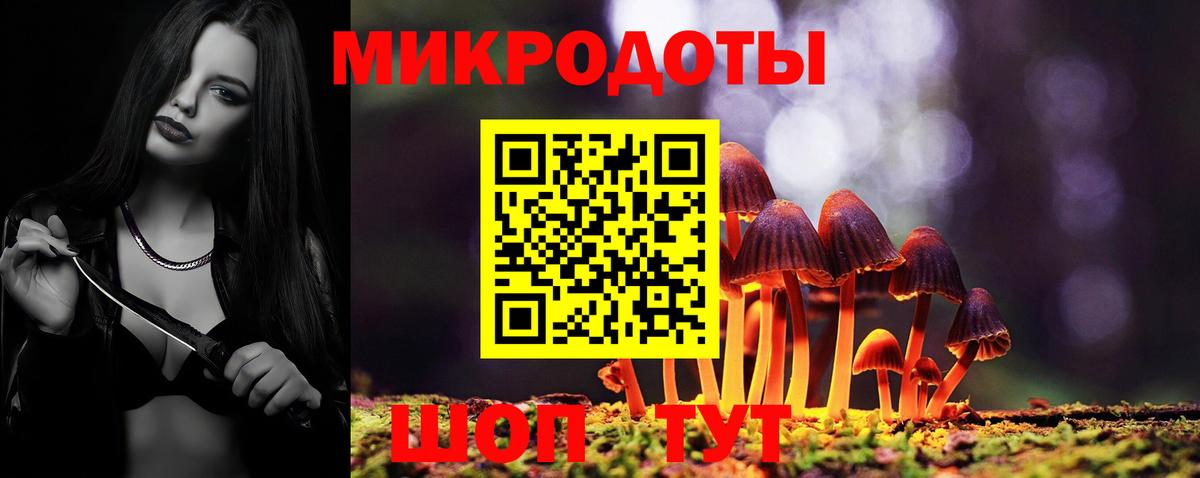 Псилоцибиновые грибы Psilocybe Торжок