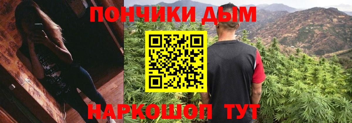 Бошки Шишки семена Торжок